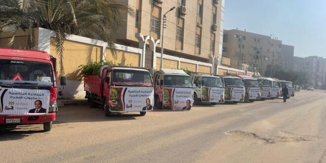 صورة-توزيع أشجار بمراكز الفيوم