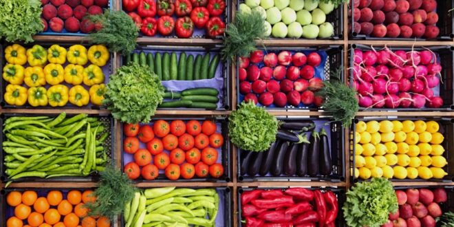 صورة أرشيفية-الخضراوات والفاكهة