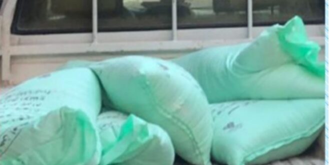 صور خبر ضبط 3 طن دقيق بالفيوم-وكالة لحظة الإخبارية